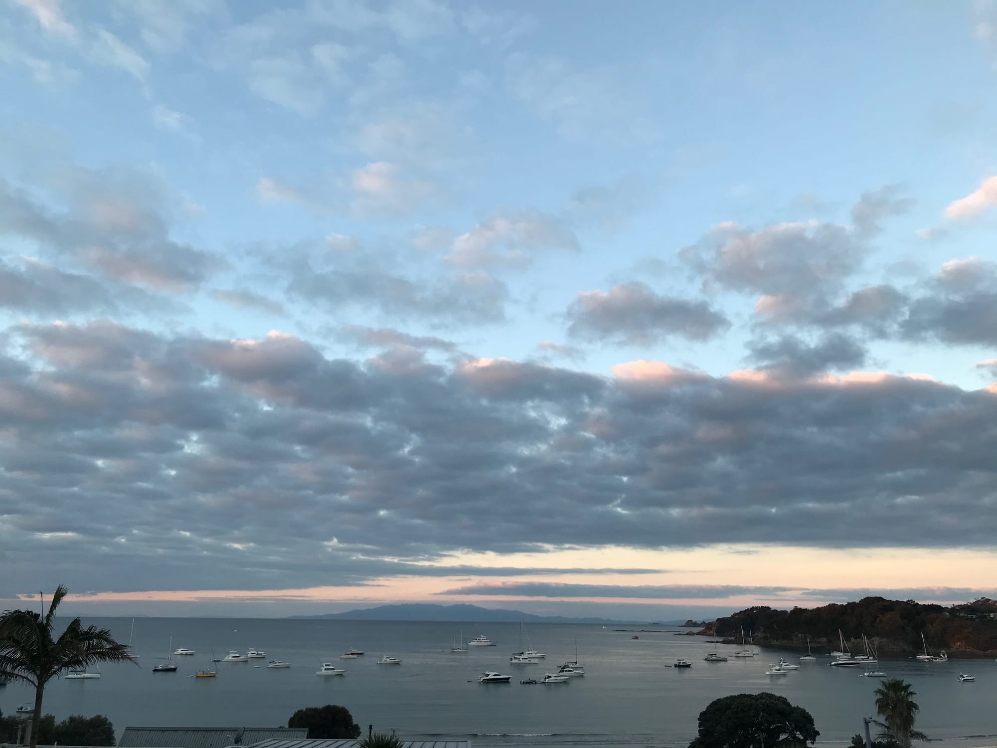 Quick trip to Waiheke Island